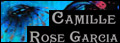 Camille Rose Garcia Website image link