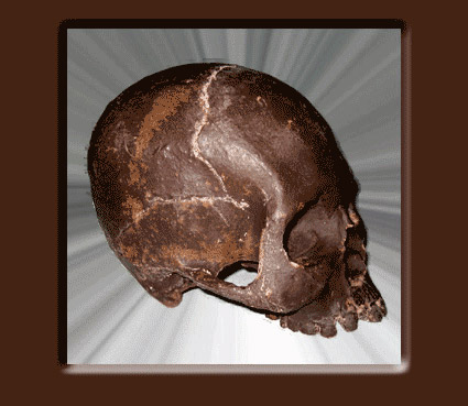 Chocolate Skull Image 2