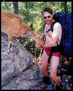 Straightjacket image