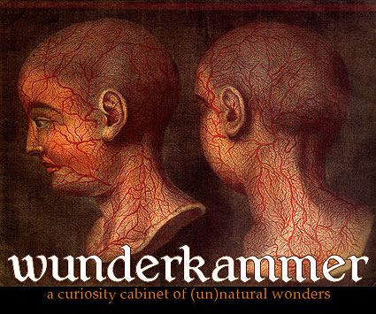 Wunderkammer 01