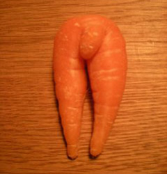 Carrot Bottom Front image