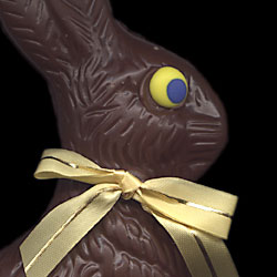 Chocolate Bunny Test image