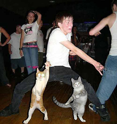 Dances With Cats Image