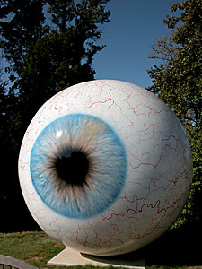 The Eye image 1