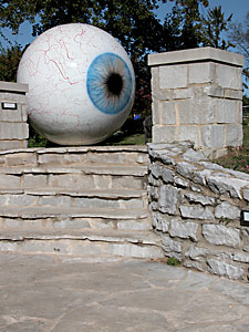 The Eye image 2