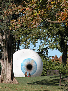 The Eye image 3