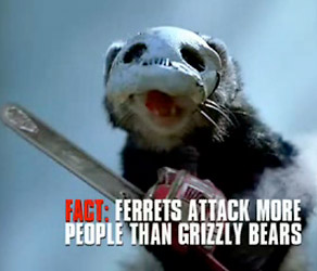 Ferret Attack image