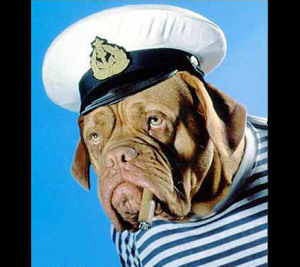 Halloween Dogs Image 1