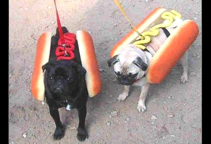 Halloween Dogs Image 4