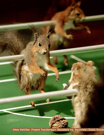 Hamsters vs Squirrels 1 image