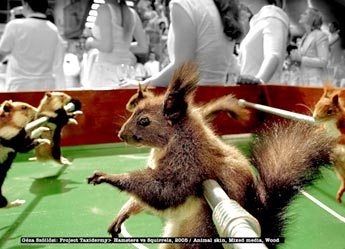 Hamsters vs Squirrels 3 image