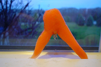 The Obscene Carrot