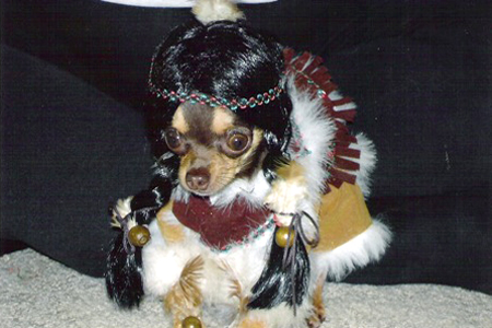Halloween Pets 8 image