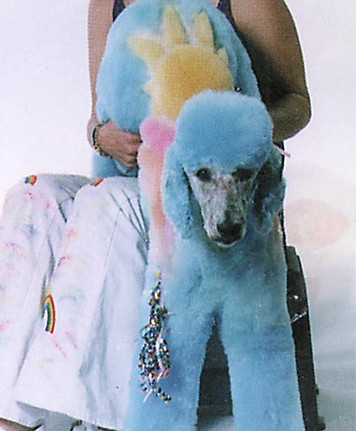 Professional Pet Grooming Secrets - Image 05