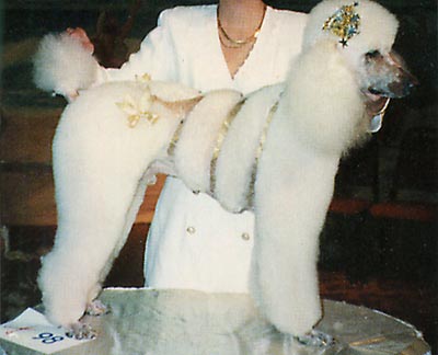 Professional Pet Grooming Secrets - Image 06