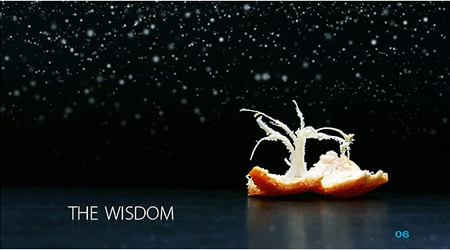 Winter Trees 6 image