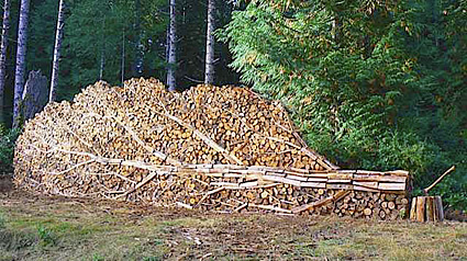 Woodpile Sculpture