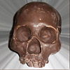 Chocolate Skulls